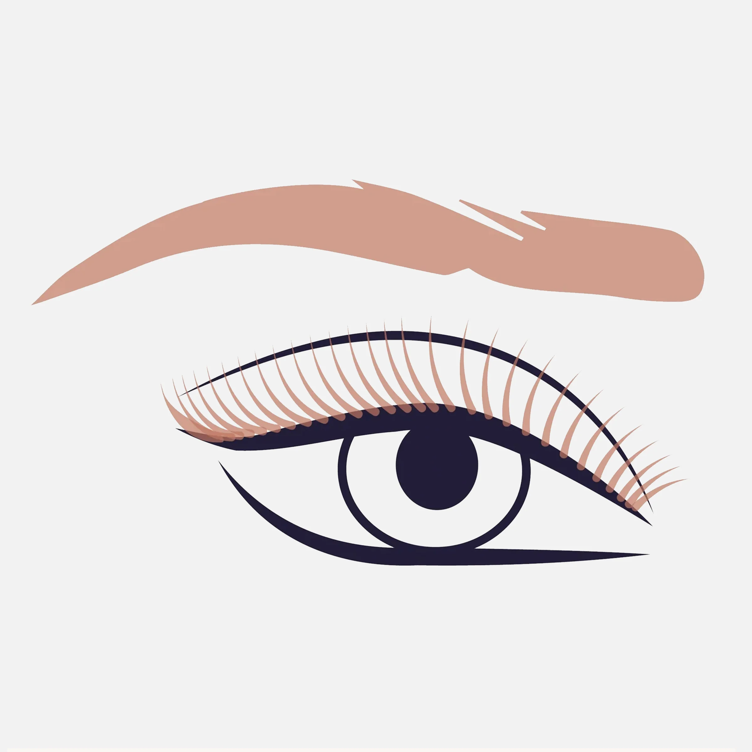 324 Brow & Lash Spoolie Pinsel - Image 3